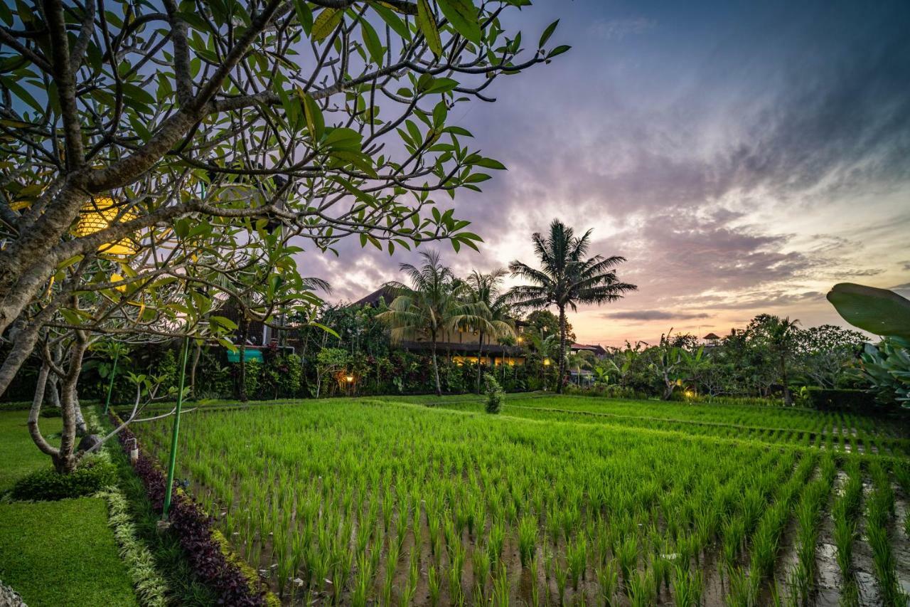 Bliss Ubud Spa Resort Exterior foto